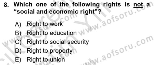 Constitutional Law Dersi 2022 - 2023 Yılı Yaz Okulu Sınav Soruları 8. Soru