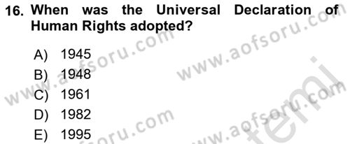 Constitutional Law Dersi 2023 - 2024 Yılı (Vize) Ara Sınav Soruları 16. Soru