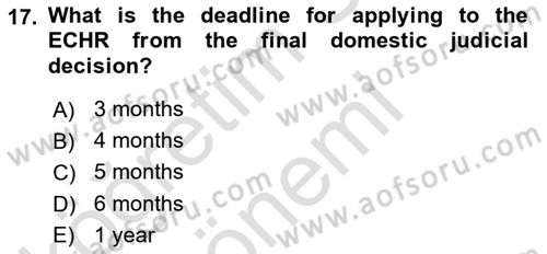 Constitutional Law Dersi 2023 - 2024 Yılı (Vize) Ara Sınav Soruları 17. Soru