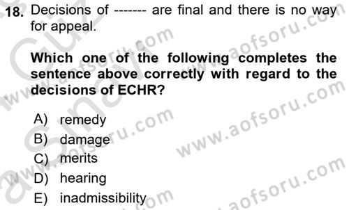 Constitutional Law Dersi 2023 - 2024 Yılı (Vize) Ara Sınav Soruları 18. Soru