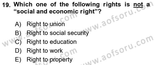 Constitutional Law Dersi 2023 - 2024 Yılı (Vize) Ara Sınav Soruları 19. Soru