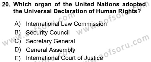 Constitutional Law Dersi 2023 - 2024 Yılı (Vize) Ara Sınav Soruları 20. Soru