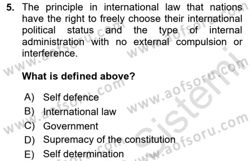 Constitutional Law Dersi 2023 - 2024 Yılı Yaz Okulu Sınav Soruları 5. Soru