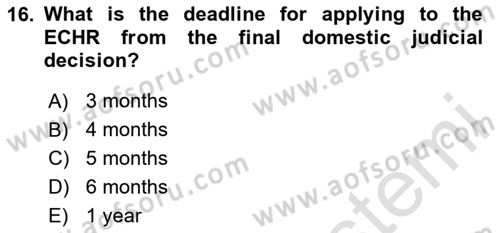 Constitutional Law Dersi 2024 - 2025 Yılı (Vize) Ara Sınav Soruları 16. Soru