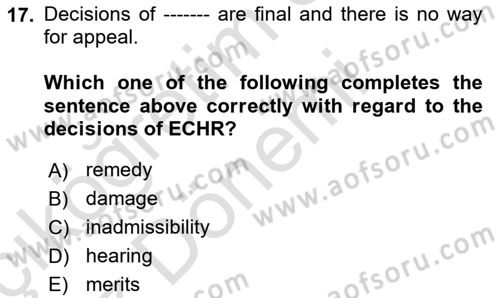Constitutional Law Dersi 2024 - 2025 Yılı (Vize) Ara Sınav Soruları 17. Soru