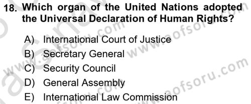 Constitutional Law Dersi 2024 - 2025 Yılı (Vize) Ara Sınav Soruları 18. Soru