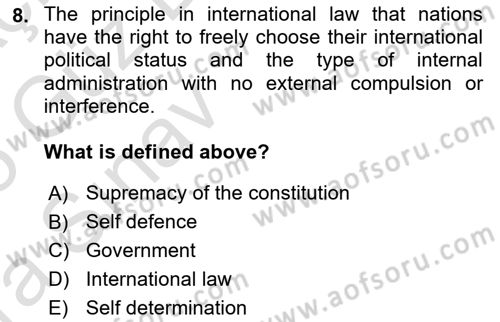Constitutional Law Dersi 2024 - 2025 Yılı (Vize) Ara Sınav Soruları 8. Soru