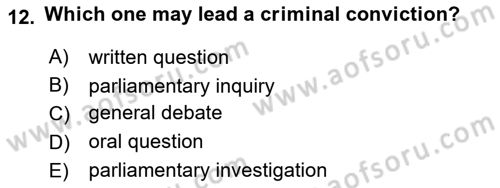 Constitutional Law Dersi 2024 - 2025 Yılı Yaz Okulu Sınav Soruları 12. Soru