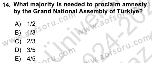 Constitutional Law Dersi 2024 - 2025 Yılı Yaz Okulu Sınav Soruları 14. Soru