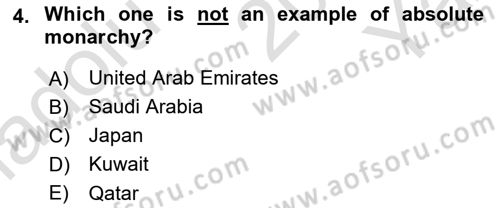 Constitutional Law Dersi 2024 - 2025 Yılı Yaz Okulu Sınav Soruları 4. Soru