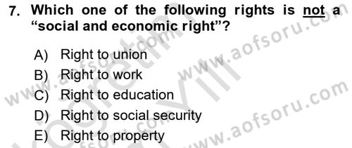 Constitutional Law Dersi 2024 - 2025 Yılı Yaz Okulu Sınav Soruları 7. Soru
