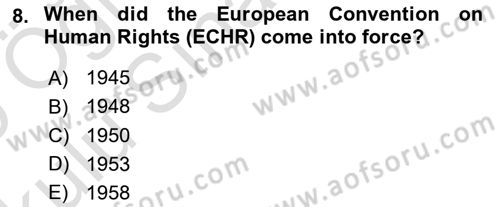 Constitutional Law Dersi 2024 - 2025 Yılı Yaz Okulu Sınav Soruları 8. Soru