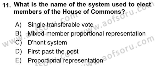 Comparative Political systems Dersi 2022 - 2023 Yılı Yaz Okulu Sınav Soruları 11. Soru