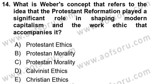 Comparative Political systems Dersi 2022 - 2023 Yılı Yaz Okulu Sınav Soruları 14. Soru