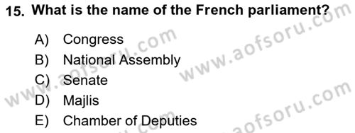 Comparative Political systems Dersi 2022 - 2023 Yılı Yaz Okulu Sınav Soruları 15. Soru