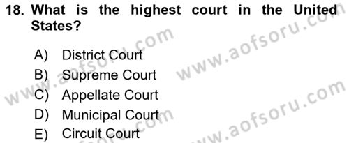 Comparative Political systems Dersi 2022 - 2023 Yılı Yaz Okulu Sınav Soruları 18. Soru