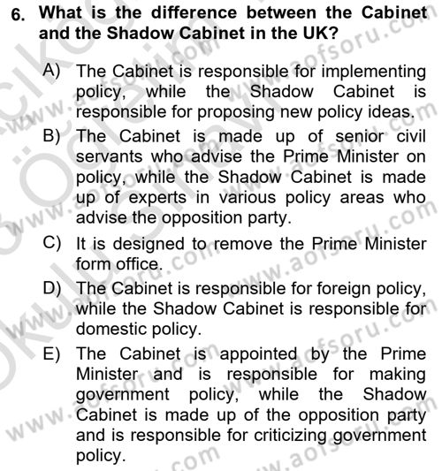 Comparative Political systems Dersi 2022 - 2023 Yılı Yaz Okulu Sınav Soruları 6. Soru