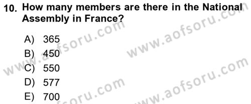 Comparative Political systems Dersi 2023 - 2024 Yılı (Vize) Ara Sınav Soruları 10. Soru