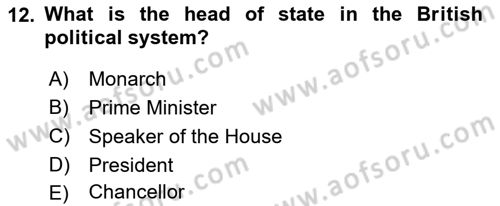 Comparative Political systems Dersi 2023 - 2024 Yılı (Vize) Ara Sınav Soruları 12. Soru