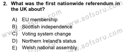 Comparative Political systems Dersi 2023 - 2024 Yılı (Vize) Ara Sınav Soruları 2. Soru
