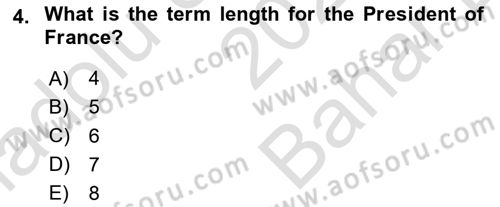 Comparative Political systems Dersi 2023 - 2024 Yılı (Vize) Ara Sınav Soruları 4. Soru