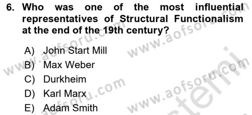 Comparative Political systems Dersi 2023 - 2024 Yılı (Vize) Ara Sınav Soruları 6. Soru