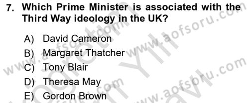 Comparative Political systems Dersi 2023 - 2024 Yılı (Vize) Ara Sınav Soruları 7. Soru
