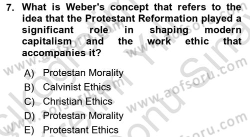 Comparative Political systems Dersi 2023 - 2024 Yılı (Final) Dönem Sonu Sınav Soruları 7. Soru