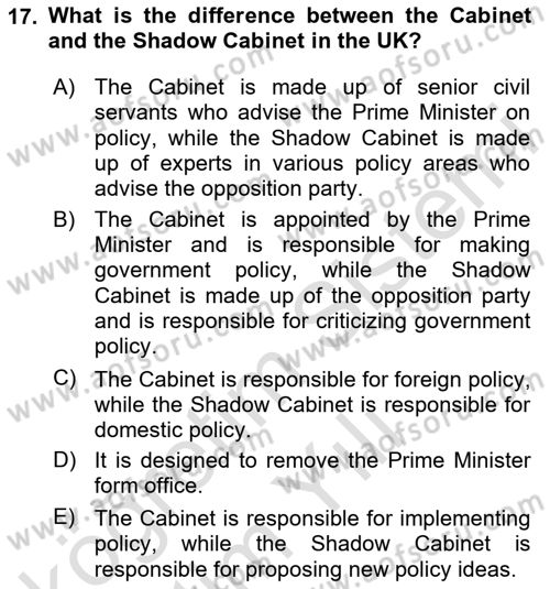 Comparative Political systems Dersi 2023 - 2024 Yılı Yaz Okulu Sınav Soruları 17. Soru