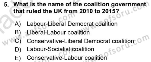 Comparative Political systems Dersi 2023 - 2024 Yılı Yaz Okulu Sınav Soruları 5. Soru