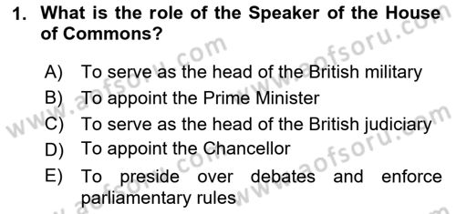 Comparative Political systems Dersi 2024 - 2025 Yılı (Vize) Ara Sınav Soruları 1. Soru