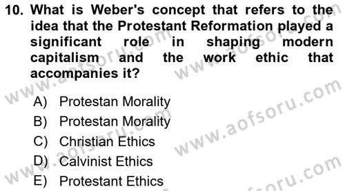 Comparative Political systems Dersi 2024 - 2025 Yılı (Vize) Ara Sınav Soruları 10. Soru