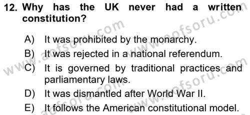 Comparative Political systems Dersi 2024 - 2025 Yılı (Vize) Ara Sınav Soruları 12. Soru