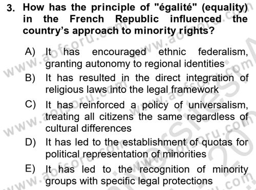 Comparative Political systems Dersi 2024 - 2025 Yılı (Vize) Ara Sınav Soruları 3. Soru