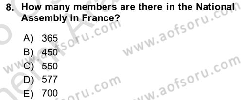 Comparative Political systems Dersi 2024 - 2025 Yılı (Vize) Ara Sınav Soruları 8. Soru