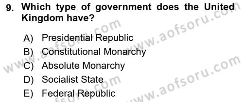 Comparative Political systems Dersi 2024 - 2025 Yılı (Vize) Ara Sınav Soruları 9. Soru