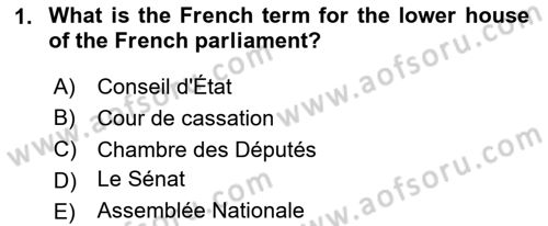 Comparative Political systems Dersi 2024 - 2025 Yılı (Final) Dönem Sonu Sınav Soruları 1. Soru