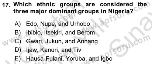 Comparative Political systems Dersi 2024 - 2025 Yılı (Final) Dönem Sonu Sınav Soruları 17. Soru
