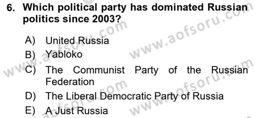 Comparative Political systems Dersi 2024 - 2025 Yılı (Final) Dönem Sonu Sınav Soruları 6. Soru