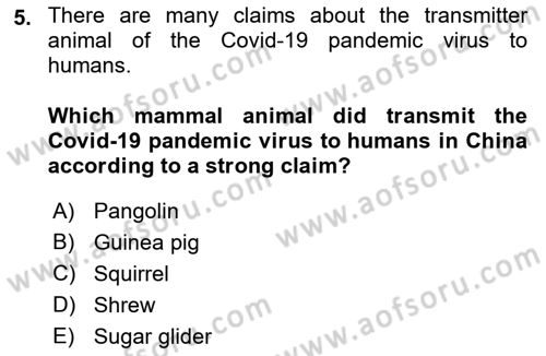 Urban and Enviromental Policy Dersi 2022 - 2023 Yılı Yaz Okulu Sınav Soruları 5. Soru