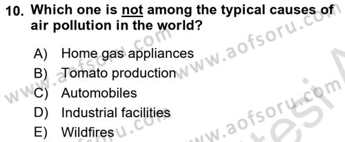 Urban and Enviromental Policy Dersi 2023 - 2024 Yılı (Vize) Ara Sınav Soruları 10. Soru