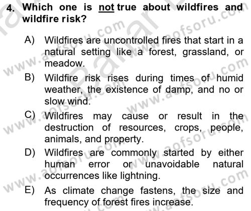 Urban and Enviromental Policy Dersi 2023 - 2024 Yılı (Final) Dönem Sonu Sınav Soruları 4. Soru