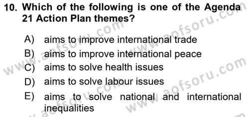 Urban and Enviromental Policy Dersi 2024 - 2025 Yılı (Vize) Ara Sınav Soruları 10. Soru