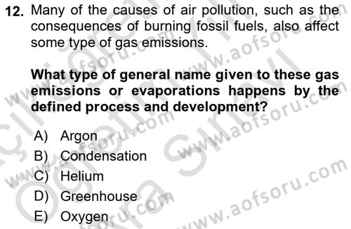 Urban and Enviromental Policy Dersi 2024 - 2025 Yılı (Vize) Ara Sınav Soruları 12. Soru