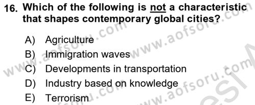Urban and Enviromental Policy Dersi 2024 - 2025 Yılı (Vize) Ara Sınav Soruları 16. Soru