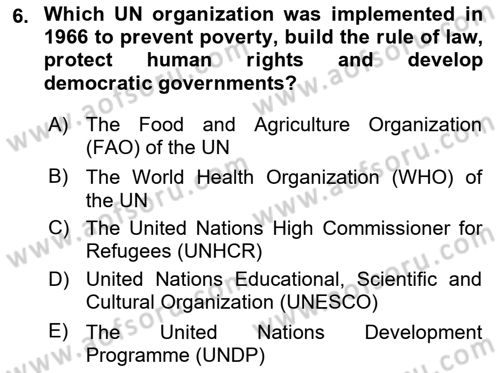 Urban and Enviromental Policy Dersi 2024 - 2025 Yılı (Vize) Ara Sınav Soruları 6. Soru