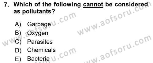 Urban and Enviromental Policy Dersi 2024 - 2025 Yılı (Vize) Ara Sınav Soruları 7. Soru
