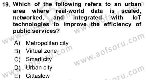 Turkish Public Administration Dersi 2024 - 2025 Yılı (Final) Dönem Sonu Sınav Soruları 19. Soru