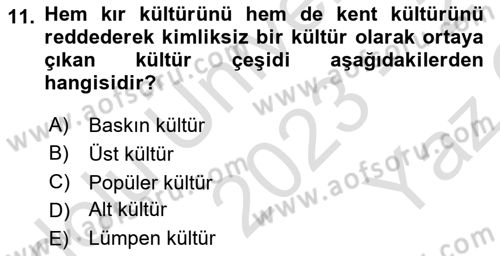 Kentleşme ve Konut Politikaları Dersi 2023 - 2024 Yılı Yaz Okulu Sınav Soruları 11. Soru