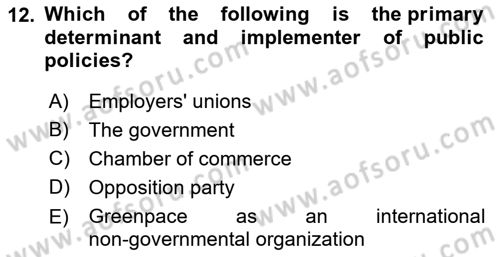 Public Policy Dersi 2023 - 2024 Yılı (Vize) Ara Sınav Soruları 12. Soru